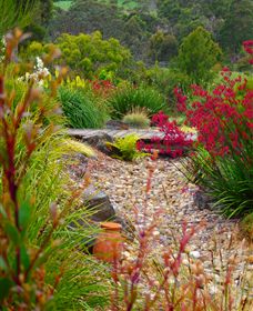 Ungulla Country Garden - Accommodation Gold Coast 1