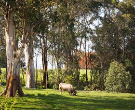Ungulla Country Garden - Accommodation Gold Coast 8