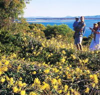 Joseph Banks Conservation Park - Accommodation Gold Coast