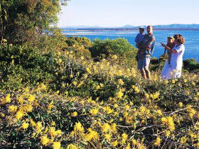 Joseph Banks Conservation Park - Accommodation Gold Coast 0