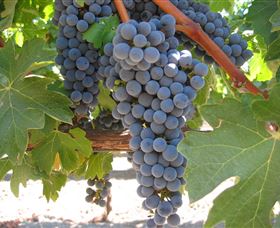 Joshuas Fault Wine - Accommodation Gold Coast 0