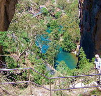 Carlotta Arch walking track - Accommodation Gold Coast