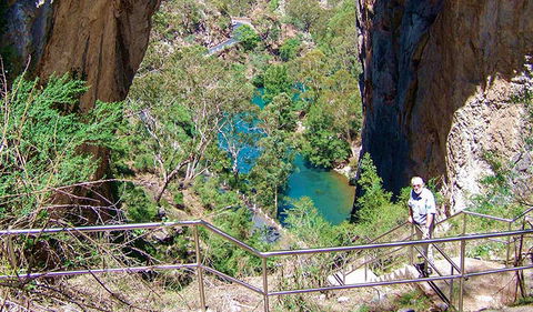 Carlotta Arch Walking Track - Accommodation Gold Coast 0