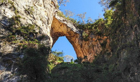 Carlotta Arch Walking Track - Accommodation Gold Coast 2
