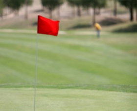 Gold Creek Country Club - 1 Gold Coast 0