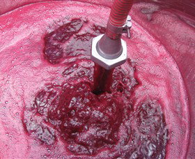 Hidden Creek Winery And Cafe - Accommodation Gold Coast 2