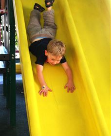 The Giant Mushroom - 1 Gold Coast 1