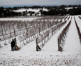 Savina Lane Premum Wines - Accommodation Gold Coast 2