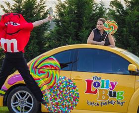 The Lolly Bug - Accommodation Gold Coast 0