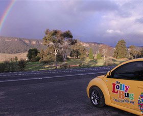 The Lolly Bug - Accommodation Gold Coast 1