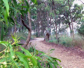Mount Mutton Walking Trail - 1 Gold Coast 0