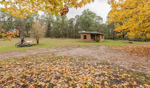 Major Clews Hut Walking Track - Accommodation Gold Coast 2