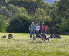 Tidbinbilla - Accommodation Gold Coast 1