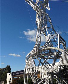 Australian Institute Of Sport (AIS) - 1 Gold Coast 0