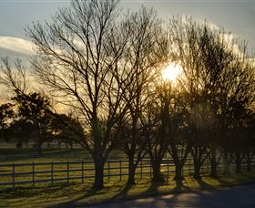 Inland Waters Holiday Parks Lake Glenbawn - 1 Gold Coast 4