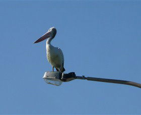 Bailey's Sydney - Tours For People Who Don't Like Tours - Accommodation Gold Coast 3