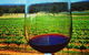 One Day Hunter Valley Day Tours And East Coast Adventures - Zepher Tours - thumb 4