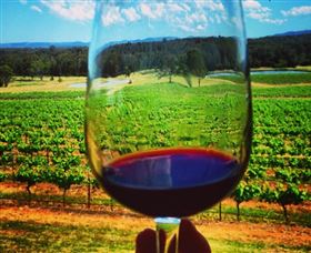 One Day Hunter Valley Day Tours And East Coast Adventures - Zepher Tours - Accommodation Gold Coast 4