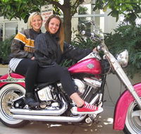Wild Ride Harley and Motorcycle Tours - Accommodation Gold Coast