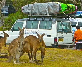Surfaris Surf Camp - Accommodation Gold Coast 3