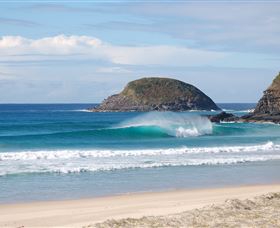 Surfaris Surf Camp - Accommodation Gold Coast 4