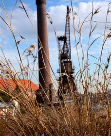 Click Walk Learn Photography Tours - Accommodation Gold Coast 2