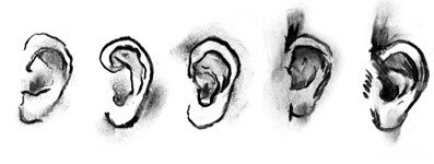 DAB LAB Research Gallery - Accommodation Gold Coast 0