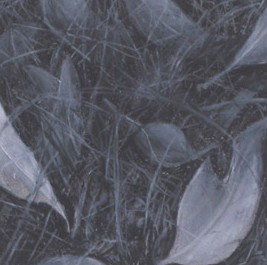 Gallery 110 Crystal - Accommodation Gold Coast 1