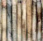Kerrie Lowe Gallery - Accommodation Gold Coast
