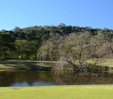 Antill Park Country Golf Club - Accommodation Gold Coast 1