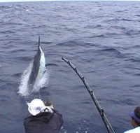 Amokura Charters - Accommodation Gold Coast