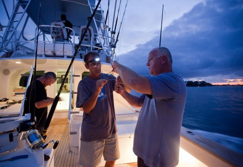 Amokura Charters - Accommodation Gold Coast 1