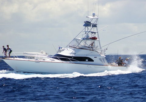 Amokura Charters - Accommodation Gold Coast 2