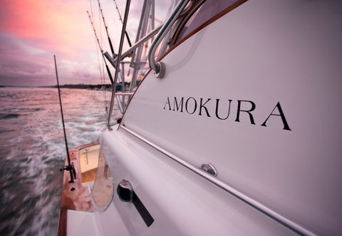 Amokura Charters - Accommodation Gold Coast 4