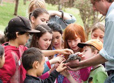 Blackbutt Reserve - Accommodation Gold Coast 2