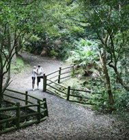Blackbutt Reserve - Accommodation Gold Coast 3