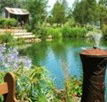 Gone Walkabout Safaris - Accommodation Gold Coast
