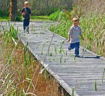 Hunter Wetlands Centre Australia - Accommodation Gold Coast 1