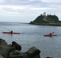 Newcastle Kayak Tours - Accommodation Gold Coast