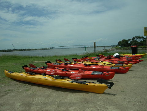 Newcastle Kayak Tours - 1 Gold Coast 2