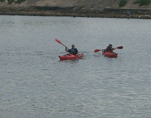 Newcastle Kayak Tours - 1 Gold Coast 4
