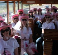 Newcastles Famous Tram - Accommodation Gold Coast