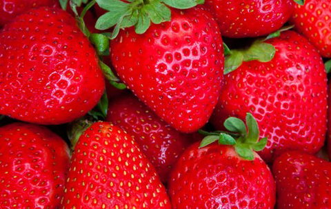 Newcastle City Farmers Markets - 1 Gold Coast 2