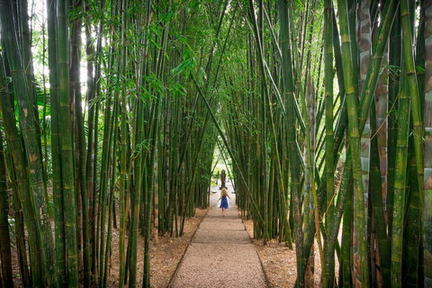 Crystal Castle & Shambhala Gardens - Accommodation Gold Coast 1