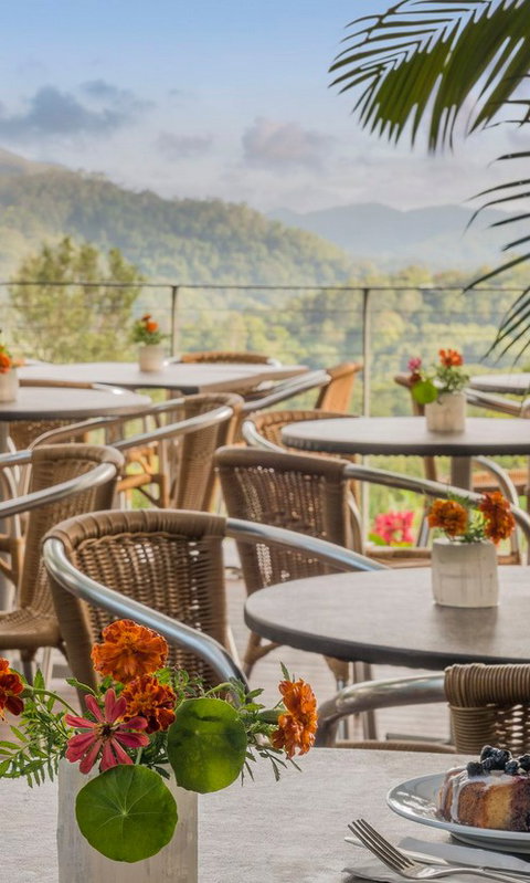 Crystal Castle & Shambhala Gardens - Accommodation Gold Coast 2