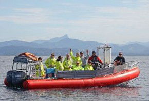 Byron Bay Whale Watching - Accommodation Gold Coast 2