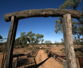Silver City Tours - Accommodation Gold Coast 2