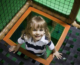 Monkey Mania EQ - 1 Gold Coast 1