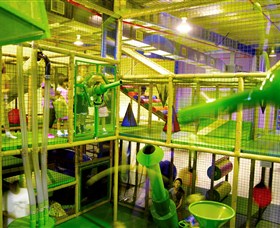 Monkey Mania EQ - 1 Gold Coast 2