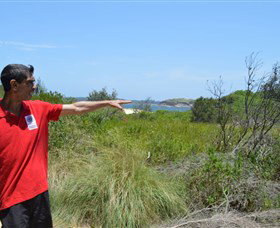 Kadoo Tours - Accommodation Gold Coast 0